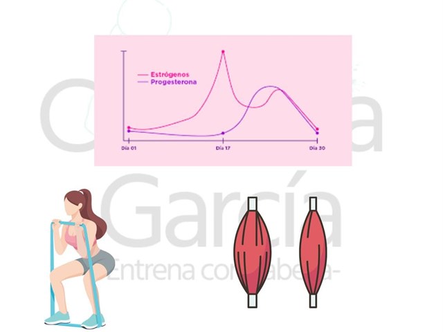 Entrenamiento y ciclo menstrual: cómo adaptar el entrenamiento en el deporte femenino